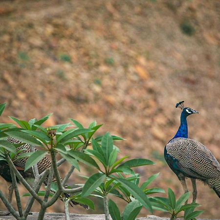 Open House By Stayvista - Nestled In Nature, Featuring A Swimming Pool & Expansive Lawn For A Serene Retreat Shikrapur エクステリア 写真